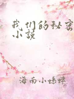 我们的秘密泰剧小说