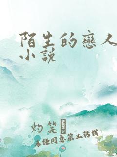 陌生的恋人原著小说