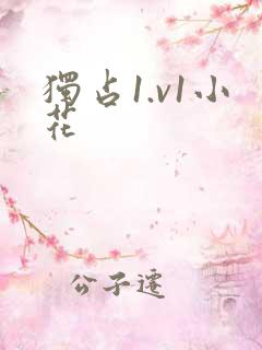 独占1.v1小花