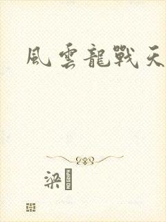 风云龙战天下