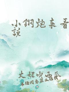 小钢炮来看我小说