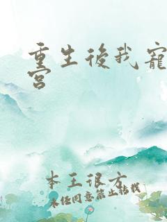 重生后我宠冠东宫