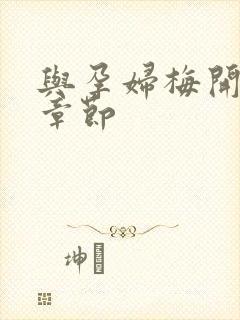 与孕妇梅开三度章节