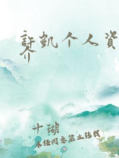 许凯个人资料简介