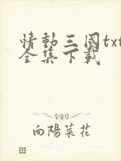 情动三国txt全集下载
