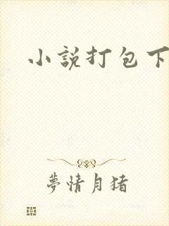 小说打包下载