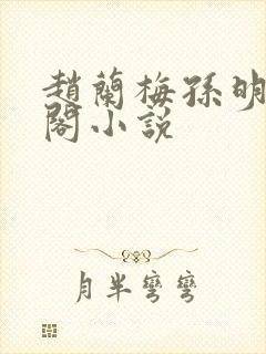 赵兰梅孙明笔趣阁小说