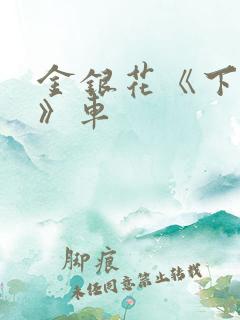 金银花《下厨房》车