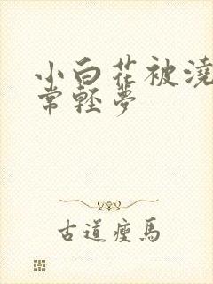 小白花被浇灌日常轻梦