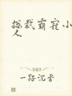 总裁霸宠小小女人