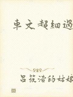 车文超细过程