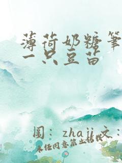 薄荷奶糖笔趣阁一只豆苗