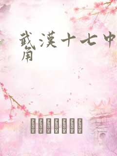 武汉十七中女主角