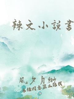 辣文小说书包网