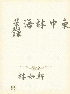 叶海林中东风云录