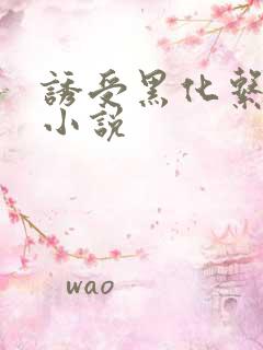 诱受黑化系统 小说