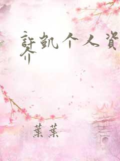 许凯个人资料简介