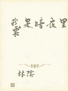 我是暗夜里的罂粟