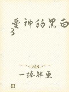 爱神的黑白羽翼3