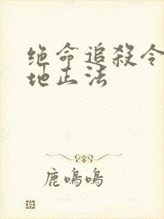 绝命追杀令2就地正法