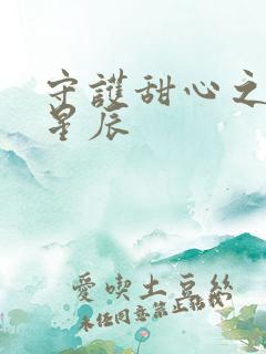 守护甜心之暗夜星辰