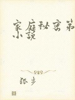 家庭秘密第3集小说