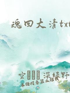 魂回大清txt