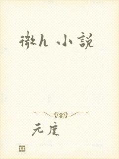 微h 小说