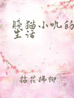 贱猫小叽的幸福生活