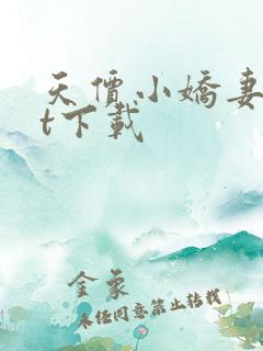 天价小娇妻txt下载