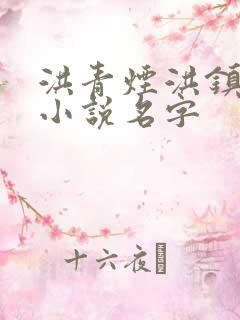 洪青烟洪镇国的小说名字