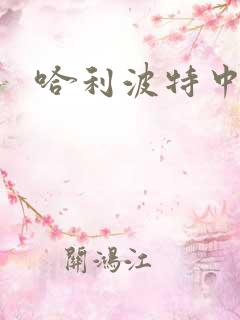 哈利波特中文版