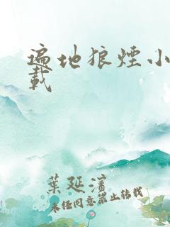 遍地狼烟小说下载