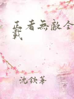 正者无敌全集下载