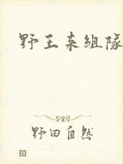 野王来组队小说