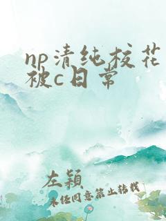 np清纯校花的被c日常