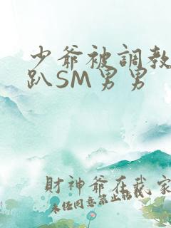 少爷被调教室跪趴SM男男