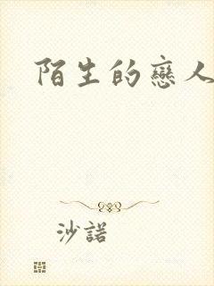 陌生的恋人小说