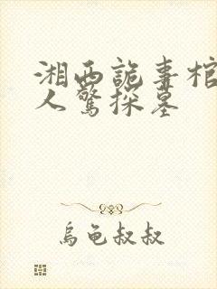 湘西诡事棺山道人惊探墓