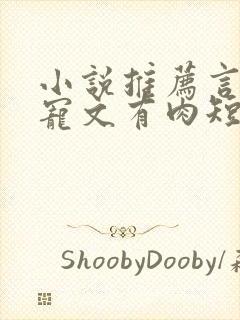 小说推荐言情甜宠文有肉短篇完结