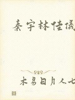 秦宇林佳仪小说