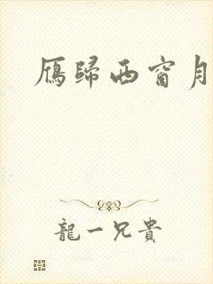 雁归西窗月小说