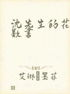 沈先生的花式调数书