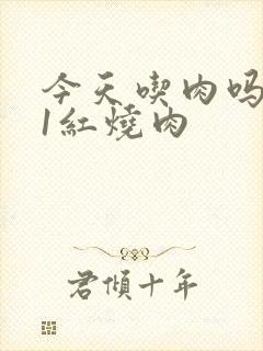 今天吃肉吗1V1红烧肉