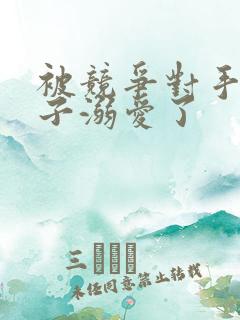 被竞争对手的王子溺爱了