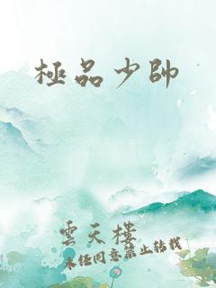 极品少帅