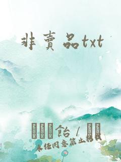 非卖品txt