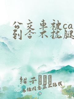 公交车被cao到合不拢腿视频