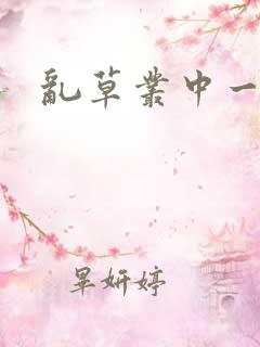 乱草丛中一杆枪