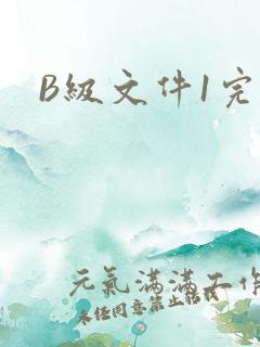 B级文件1完整